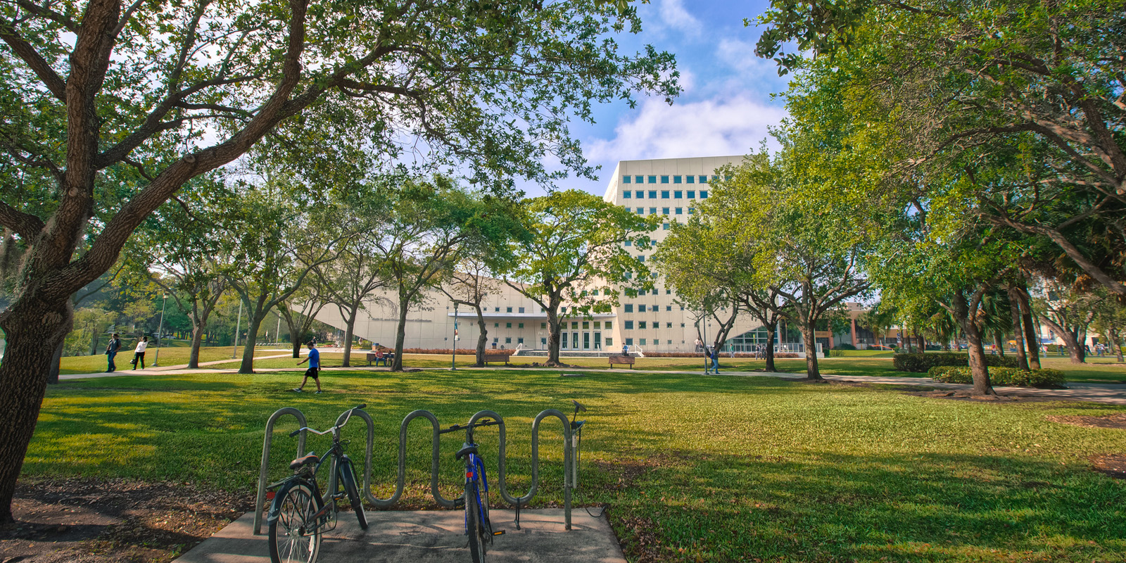 Online MPA | FIU Master of Public Administration